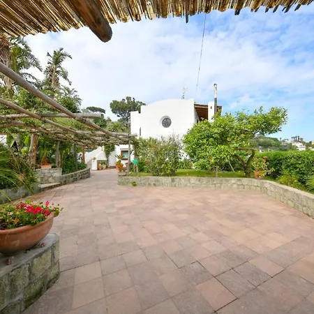 Letizia فيلة Lacco Ameno (Isola d'Ischia)